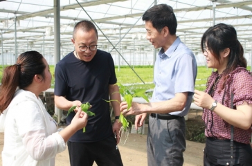 上海市嘉定區(qū)華亭鎮(zhèn)萬斌斌副鎮(zhèn)長一行訪問超大